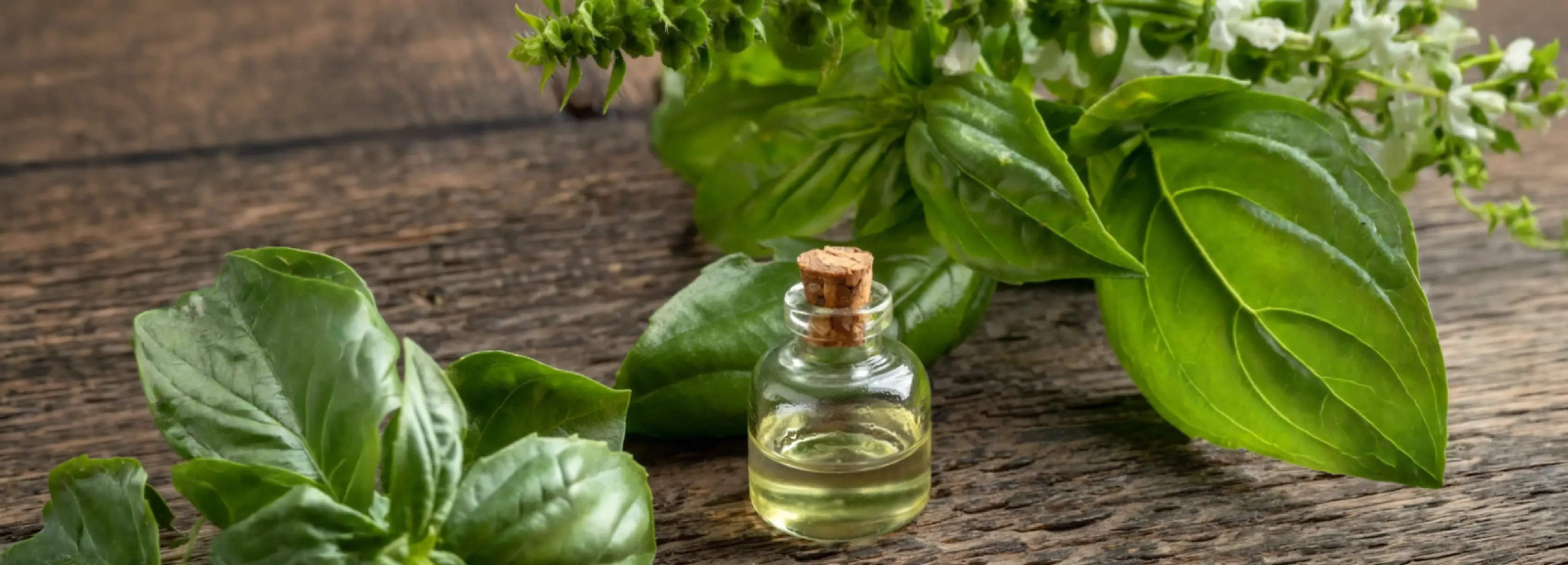 WV Express Executive Reset